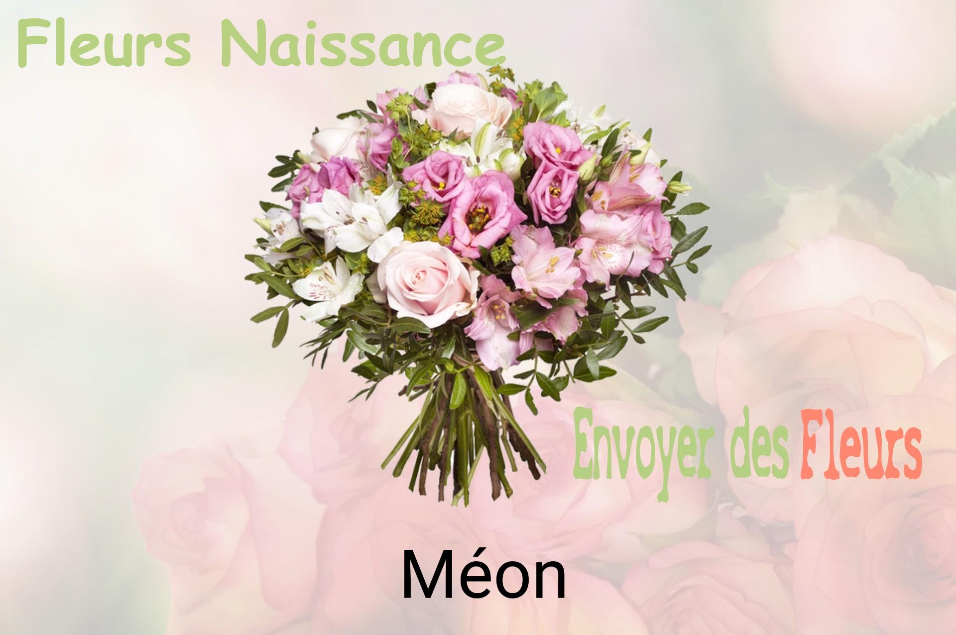 Bouquet de fleurs de naissance livré à Méon